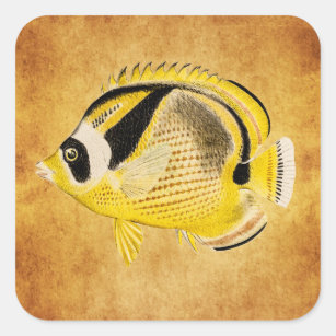 熱帯 熱帯 熱帯 魚 魚 魚シール  Zazzle.co.jp