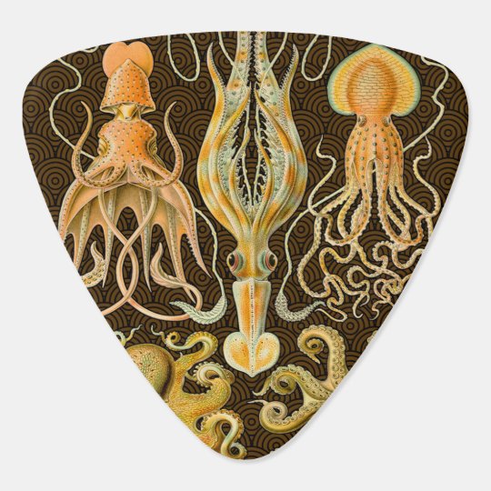 ヴィンテージの頭足類のイカのタコ ギターピック Zazzle Co Jp