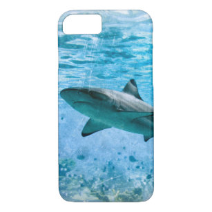 鮫iphone 8 7ケース Zazzle Co Jp 鮫iphone 8 7ケース Zazzle Co Jp