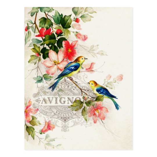 ヴィンテージの鳥のフランス風 ポストカード Zazzle Co Jp