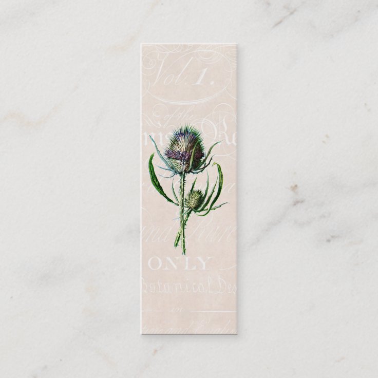 ヴィンテージ1902のスコットランド人のアザミの古い野生花 スキニー名刺 Zazzle Co Jp