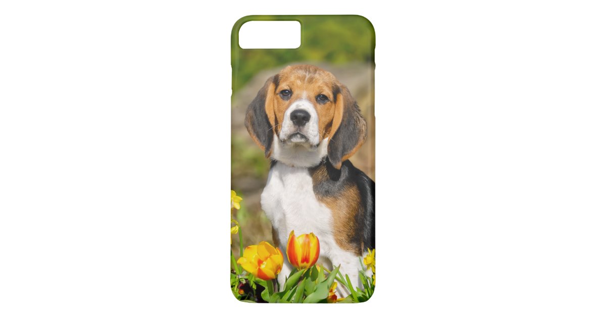 三色のビーグル犬の子犬のかわいいポートレート Phonecase Case Mate Iphoneケース Zazzle Co Jp