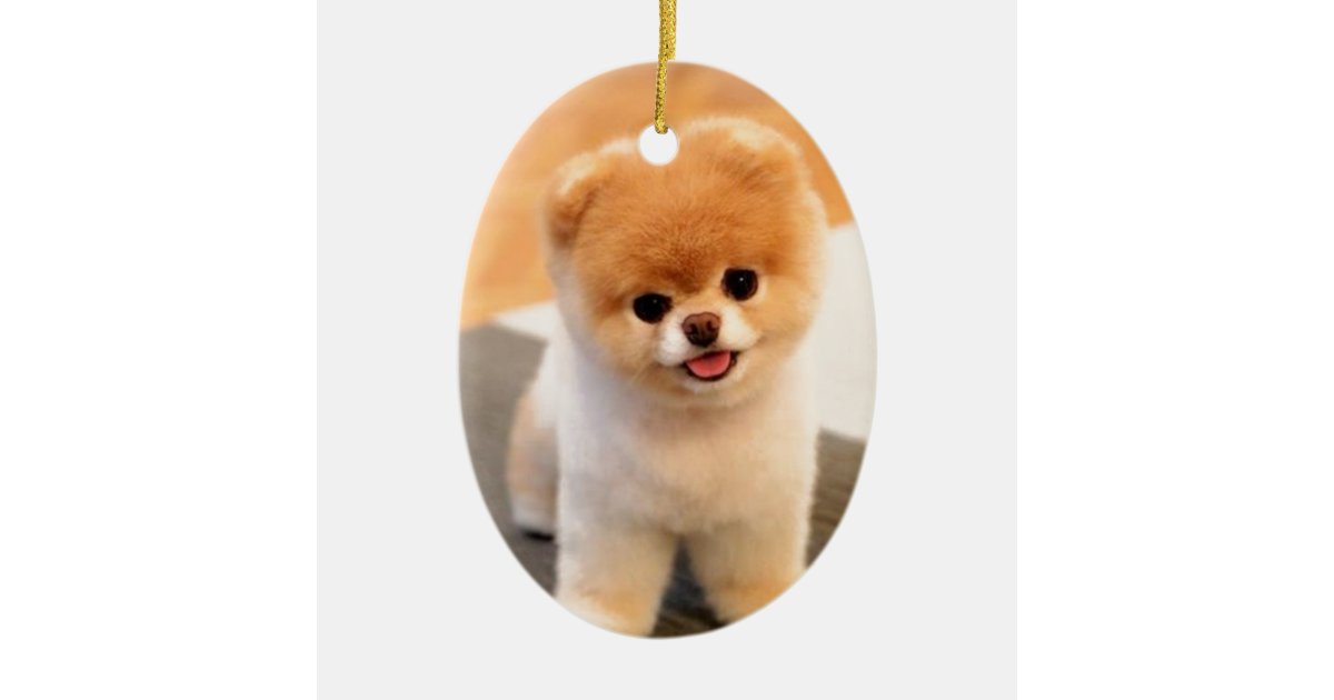 世界の最もかわいい犬 セラミックオーナメント Zazzle Co Jp