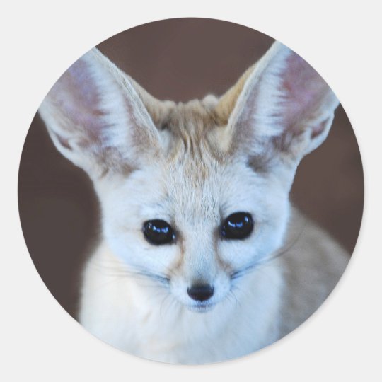世界の最もかわいいfennecのキツネ ラウンドシール Zazzle Co Jp