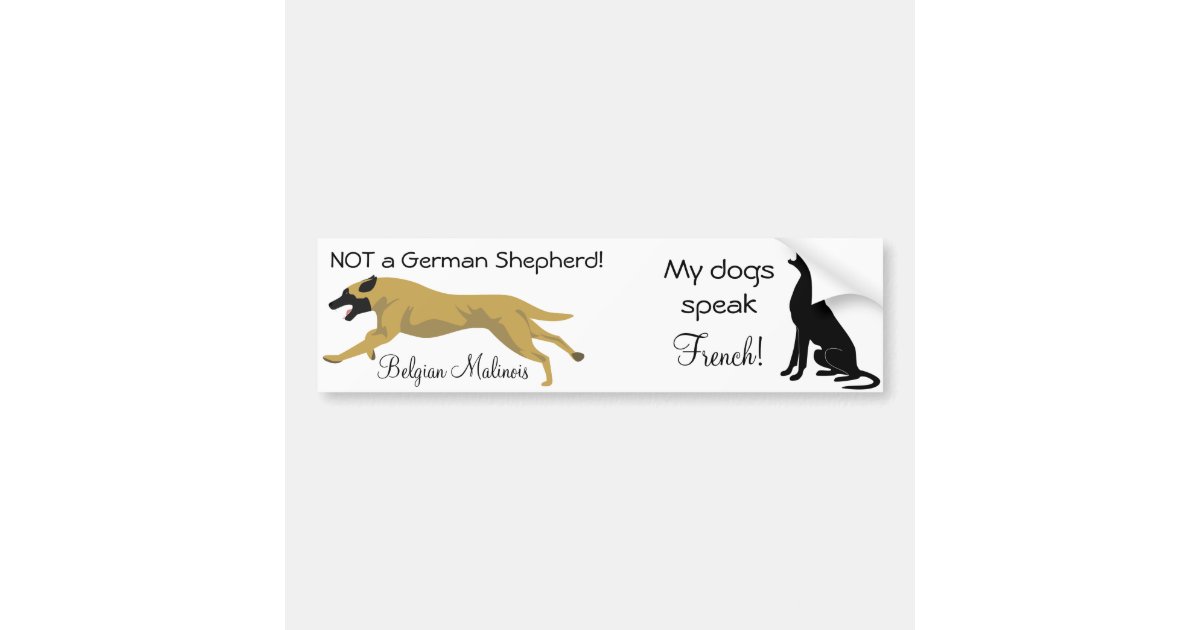 二重ステッカー ない羊飼い 犬はフランス語を話します バンパーステッカー Zazzle Co Jp