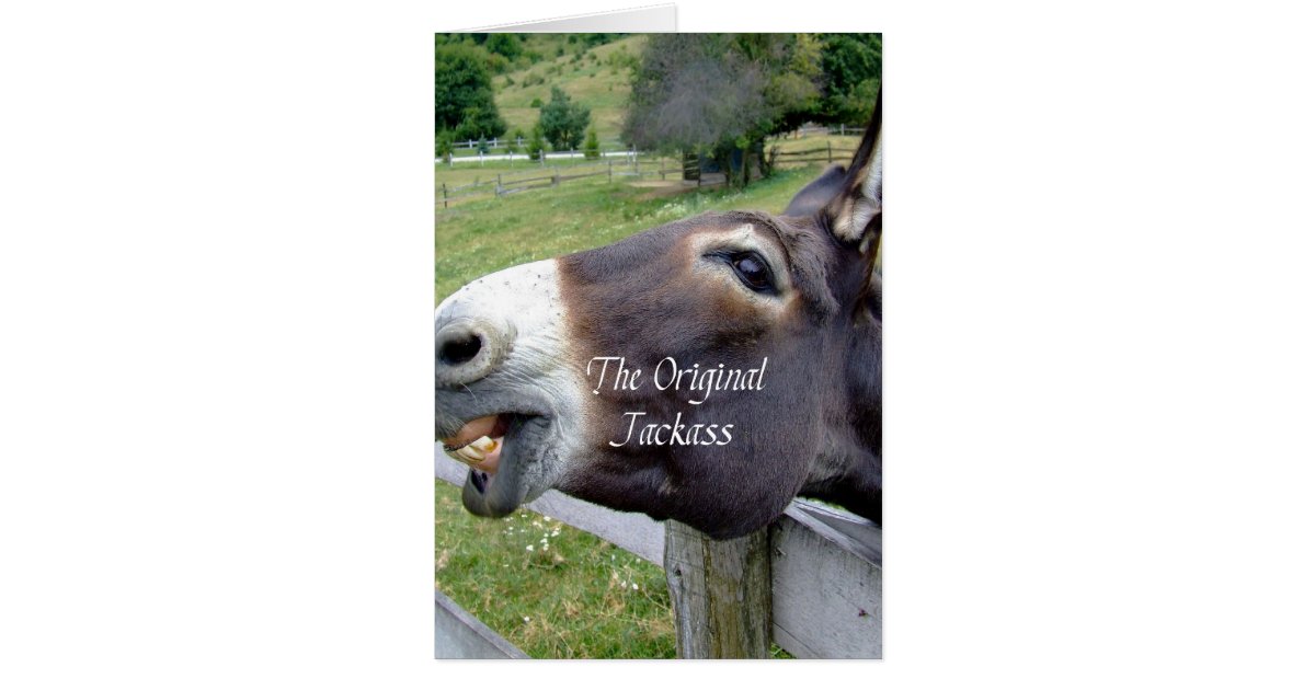 元のろばのおもしろいなろばのラバの家畜 Zazzle Co Jp