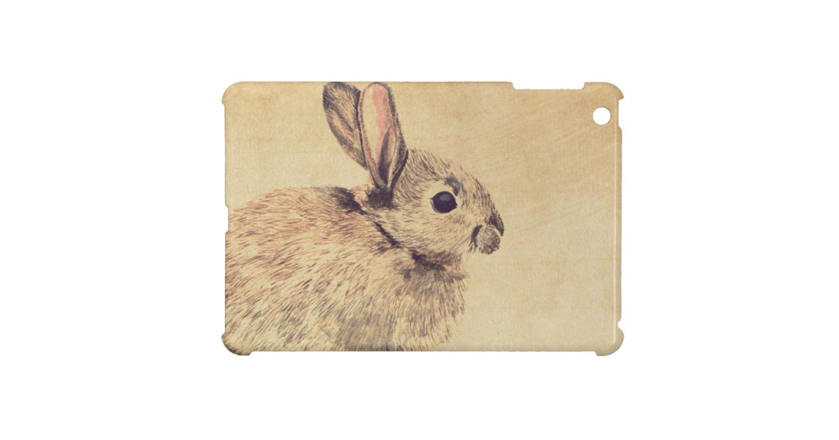 共通のウサギの水彩画のスケッチのipad Miniケース Ipad Miniケース Zazzle Co Jp