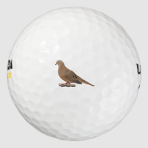 カメゴルフボール Zazzle Co Jp カメゴルフボール Zazzle Co Jp