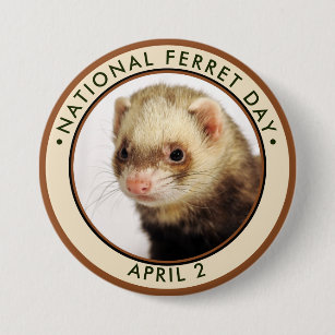 Ferretアクセサリー Zazzle Co Jp