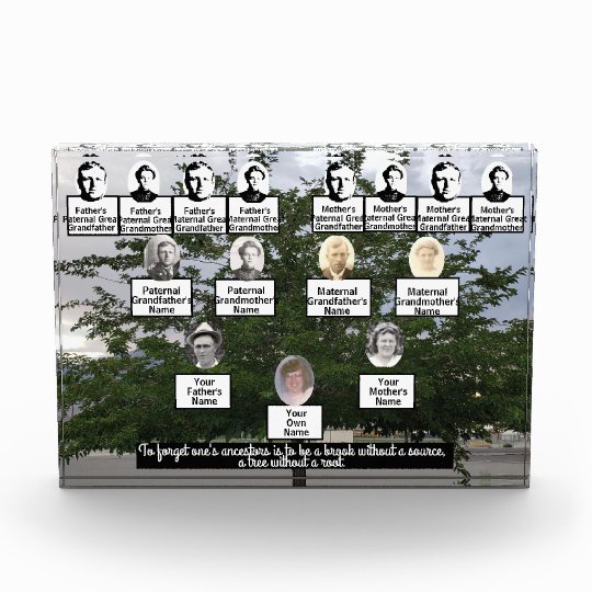 夏期ツリーフォトファミリーツリー引用文 フォトブロック Zazzle Co Jp