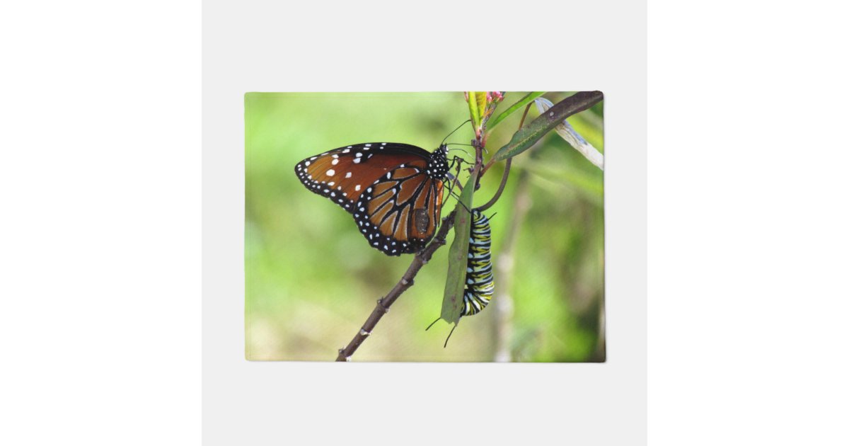 女王の蝶および 昆虫 オオカバマダラ モナークの幼虫の玄関マット ドアマット Zazzle Co Jp