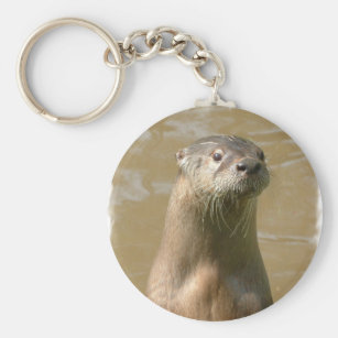 カワウソ 動物 野生 野性 生物キーホルダー Zazzle Co Jp カワウソ 動物 野生 野性 生物キーホルダー Zazzle Co Jp