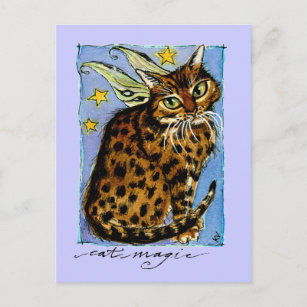 猫ポストカード Zazzle Co Jp 猫ポストカード Zazzle Co Jp