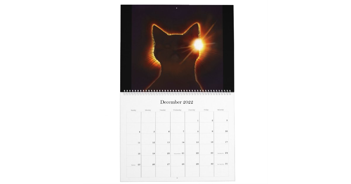 宇宙猫カレンダー カレンダー Zazzle Co Jp