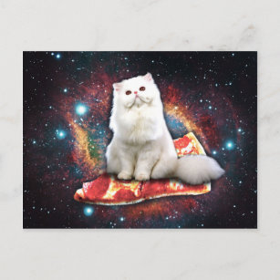 宇宙 猫ポストカード Zazzle Co Jp