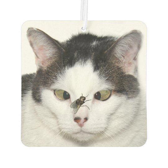 寄り目の猫およびはえ カーエアーフレッシュナー Zazzle Co Jp