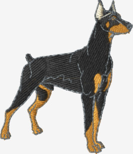 ドーベルマン 犬tシャツ Tシャツデザイン Zazzle Co Jp ドーベルマン 犬tシャツ Tシャツデザイン Zazzle Co Jp