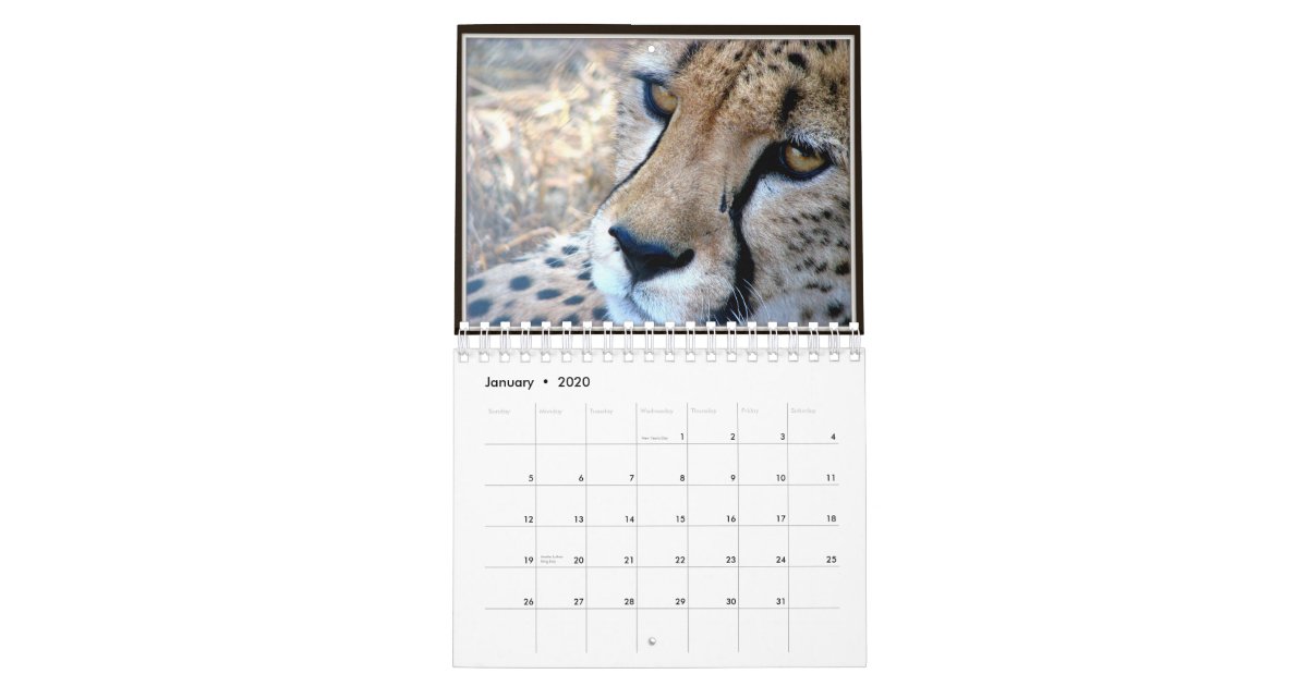 小さい野生動物はカレンダー2012年に直面します カレンダー Zazzle Co Jp