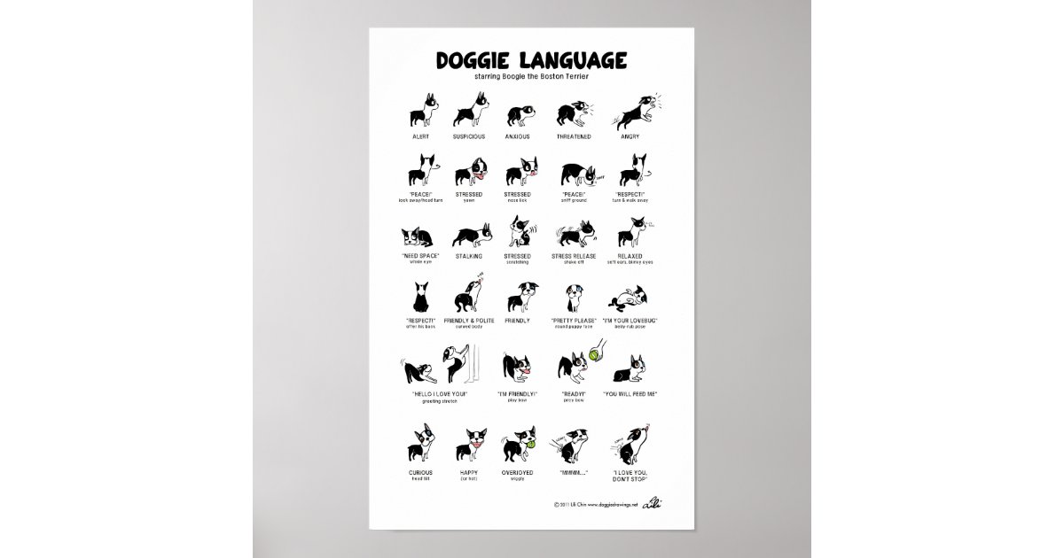 小犬の言語大きいポスター ポスター Zazzle Co Jp 小犬の言語大きいポスター ポスター Zazzle Co Jp