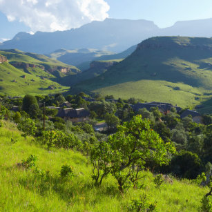 ドラケン ス バーグ 山脈 Allis