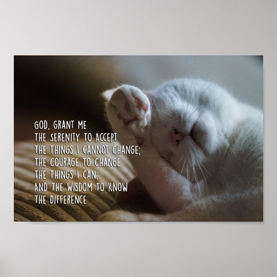 平静の祈りの言葉平和な猫の睡眠 ポスター Zazzle Co Jp