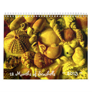 貝殻カレンダー 壁掛けカレンダー Zazzle Co Jp 貝殻カレンダー 壁掛けカレンダー Zazzle Co Jp