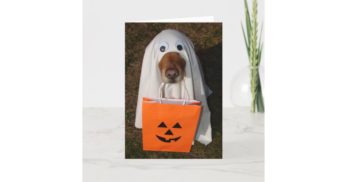 幽霊犬およびgoodieのバッグが付いているハロウィンの御馳走 カード Zazzle Co Jp