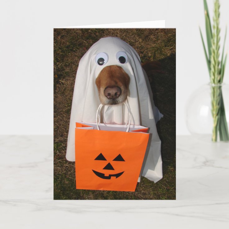 幽霊犬およびgoodieのバッグが付いているハロウィンの御馳走 カード Zazzle Co Jp