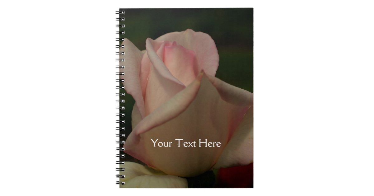 強いピンクのバラのつぼみの花の自然のノート ノートブック Zazzle Co Jp