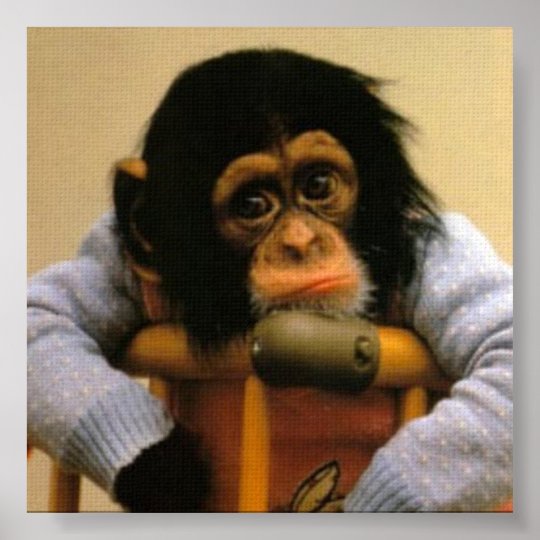 悲しい猿の写真ポスター ポスター Zazzle Co Jp