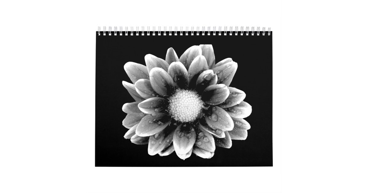 悲しい花 カレンダー Zazzle Co Jp 悲しい花 カレンダー Zazzle Co Jp