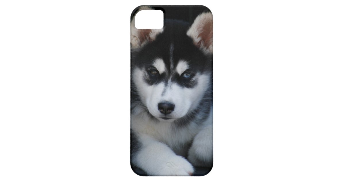 愛らしいシベリアンハスキーのそり犬の子犬 Case Mate Iphoneケース Zazzle Co Jp