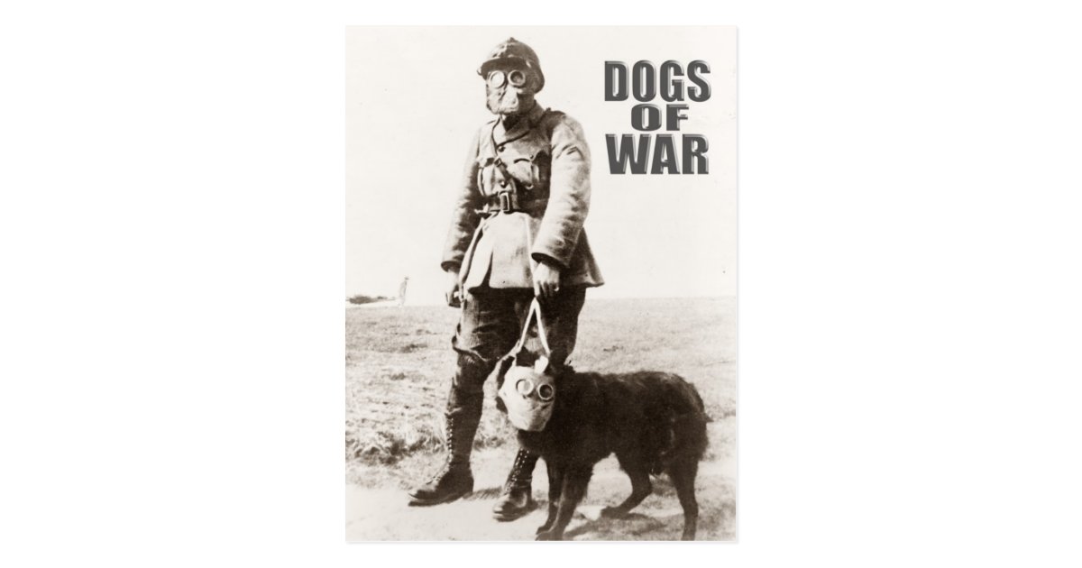 戦争の身に着けているガスマスクの犬 ポストカード Zazzle Co Jp 戦争の身に着けているガスマスクの犬 ポストカード Zazzle Co Jp