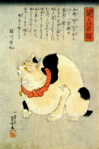 猫ポストカード Zazzle Co Jp
