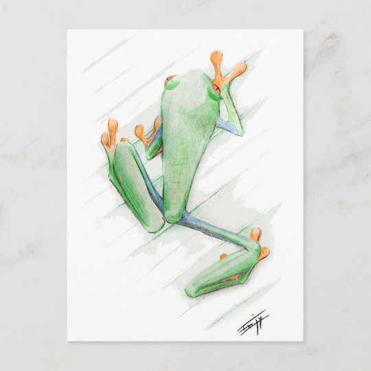 有毒なカエル スケッチの水彩画の絵画 ポストカード Zazzle Co Jp