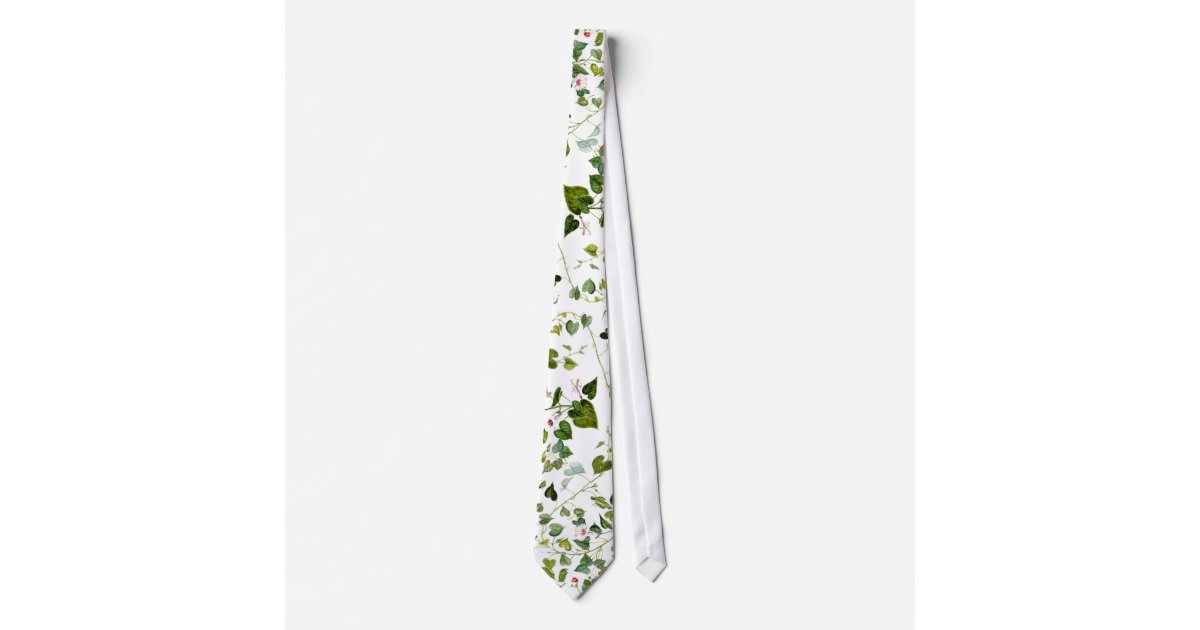 朝顔の花柄の葉のつる植物の植物のタイ ネクタイ Zazzle Co Jp 朝顔の花柄の葉のつる植物の植物のタイ ネクタイ Zazzle Co Jp