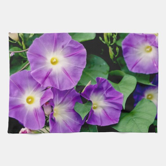 朝顔 紫色の花の緑の葉 キッチンタオル Zazzle Co Jp
