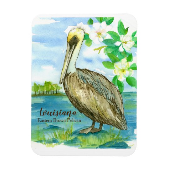 東のブラウンのペリカンのルイジアナの州鳥 マグネット Zazzle Co Jp