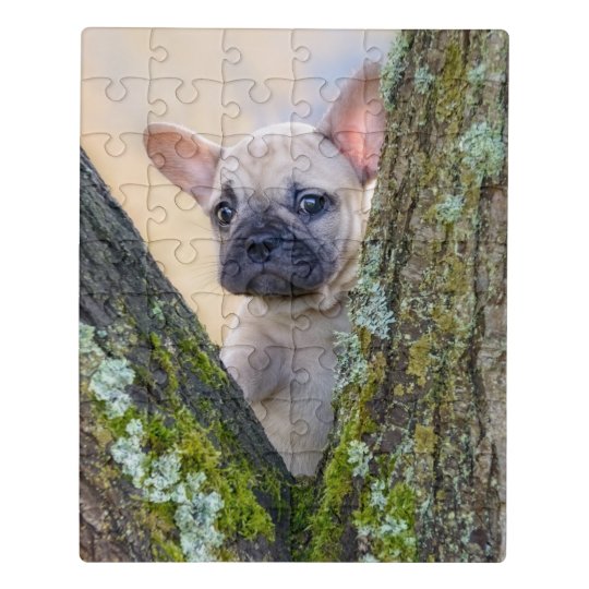 枝のフォークフランスのでポーズをとるかわいいブルドッグの子犬 ジグソーパズル Zazzle Co Jp