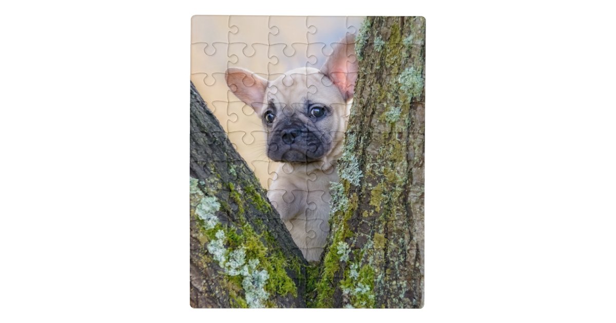 枝のフォークフランスのでポーズをとるかわいいブルドッグの子犬 ジグソーパズル Zazzle Co Jp