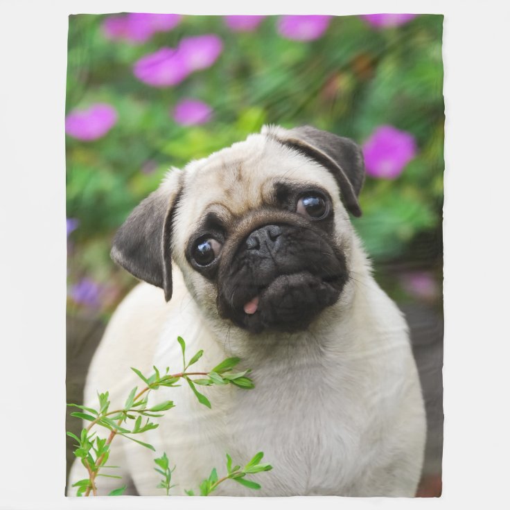 柔らかいかわいい子鹿のパグの子犬 フリースブランケット Zazzle Co Jp