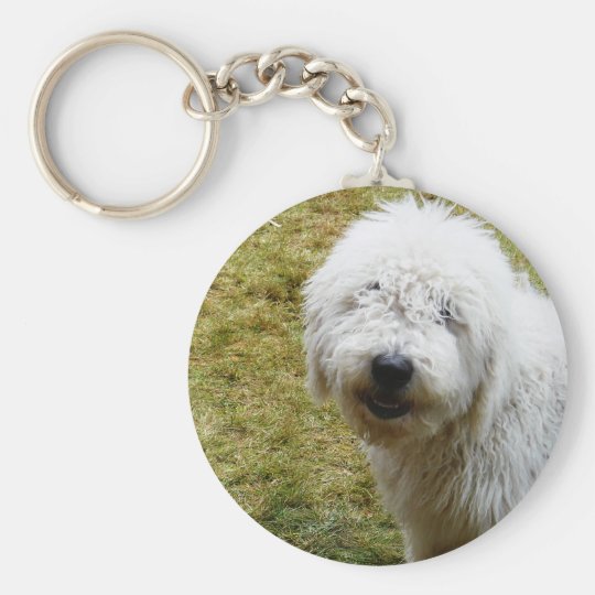 柔らかいfrizzy悪い毛日犬 キーホルダー Zazzle Co Jp