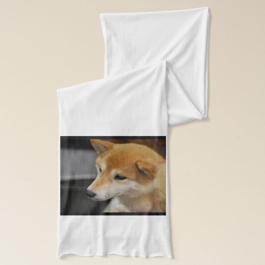 柴犬犬 スカーフ Zazzle Co Jp