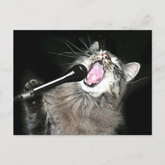 歌う猫 ポストカード Zazzle Co Jp