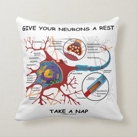 残りが昼寝ニューロンシナプスを取るあなたのニューロンを与えて下さい クッション Zazzle Co Jp