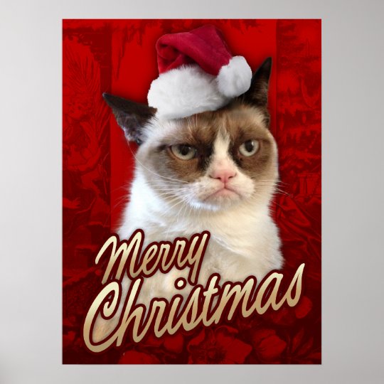 気難しい猫のメリークリスマス ポスター Zazzle Co Jp