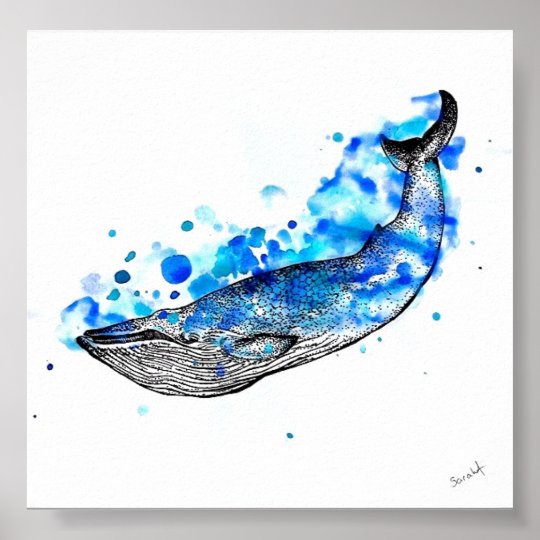 水彩画のクジラ ポスター Zazzle Co Jp