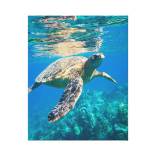 人気商品は 現代美術 現代アート ウミガメ 海亀 海 カメ 絵画 原画 アート Turtle 絵画 タペストリ Lamplightersbiblestudy Com