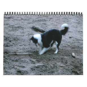 ボーダー コリー 犬カレンダー 壁掛けカレンダー Zazzle Co Jp