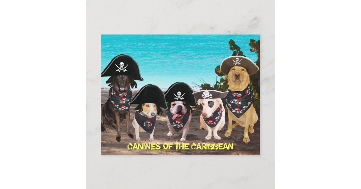 海賊日の郵便はがきのようなおもしろい犬の話 ポストカード Zazzle Co Jp 海賊日の郵便はがきのようなおもしろい犬の話 ポストカード Zazzle Co Jp